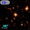 CD-44 12441