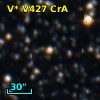 V* V427 CrA