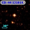 CD-44 12501A