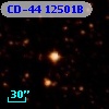 CD-44 12501B