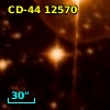CD-44 12570