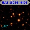 IRAS 18236-4426