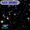 NSV 10905