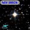 NSV 10929