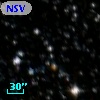 NSV 10975