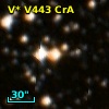 V* V443 CrA