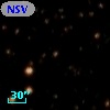 NSV 11446
