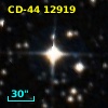 CD-44 12919