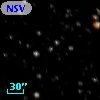 NSV 11620