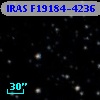 IRAS F19184-4236