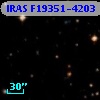 IRAS F19351-4203