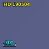 HD 190504
