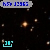 NSV 12965