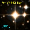 V* V4442 Sgr