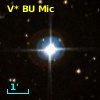 V* BU Mic