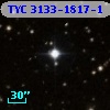 TYC 3133-1817-1