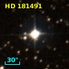 HD 181491