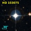 HD 133075