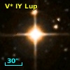 V* IY Lup