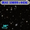 IRAS 19099+4436