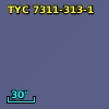 TYC 7311-313-1