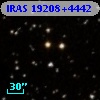 IRAS 19208+4442