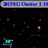 [BCF85] Cluster 1  18