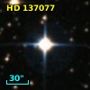 HD 137077
