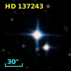 HD 137243