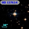 HD 137614