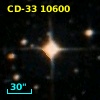 CD-33 10600
