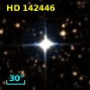 HD 142446