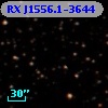 RX J1556.1-3644
