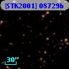[STK2001] 08729b