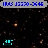 IRAS 15550-3646