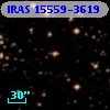 IRAS 15559-3619