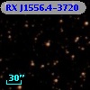 RX J1556.4-3720