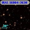 IRAS 16004-3630