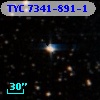 TYC 7341-891-1