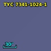TYC 7341-1024-1