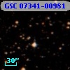 GSC 07341-00981