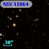 NSV 11864