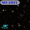 NSV 11871