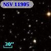 NSV 11905
