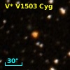V* V1503 Cyg