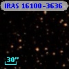 IRAS 16100-3636
