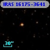 IRAS 16175-3641