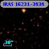 IRAS 16231-3838
