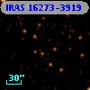 IRAS 16273-3919