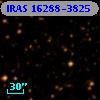 IRAS 16288-3825